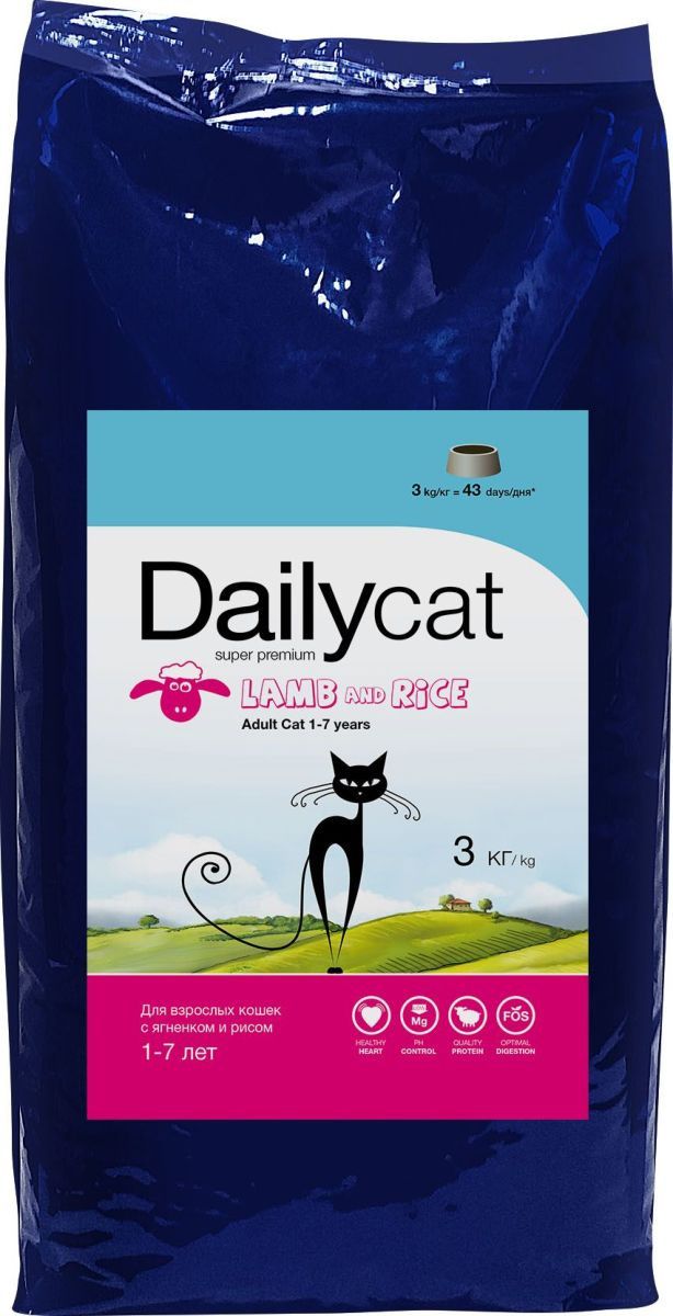   Dailycat 