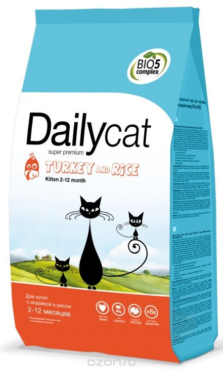   Dailycat 